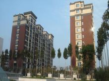 濰坊市和春住住宅樓，獲得2013年度濰坊市“優(yōu)質(zhì)結(jié)構(gòu)杯質(zhì)量獎(jiǎng)”