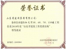 和天下3#、4#、7#、13#樓獲2018年度“山東省建筑工程優(yōu)質(zhì)結(jié)構(gòu)”
